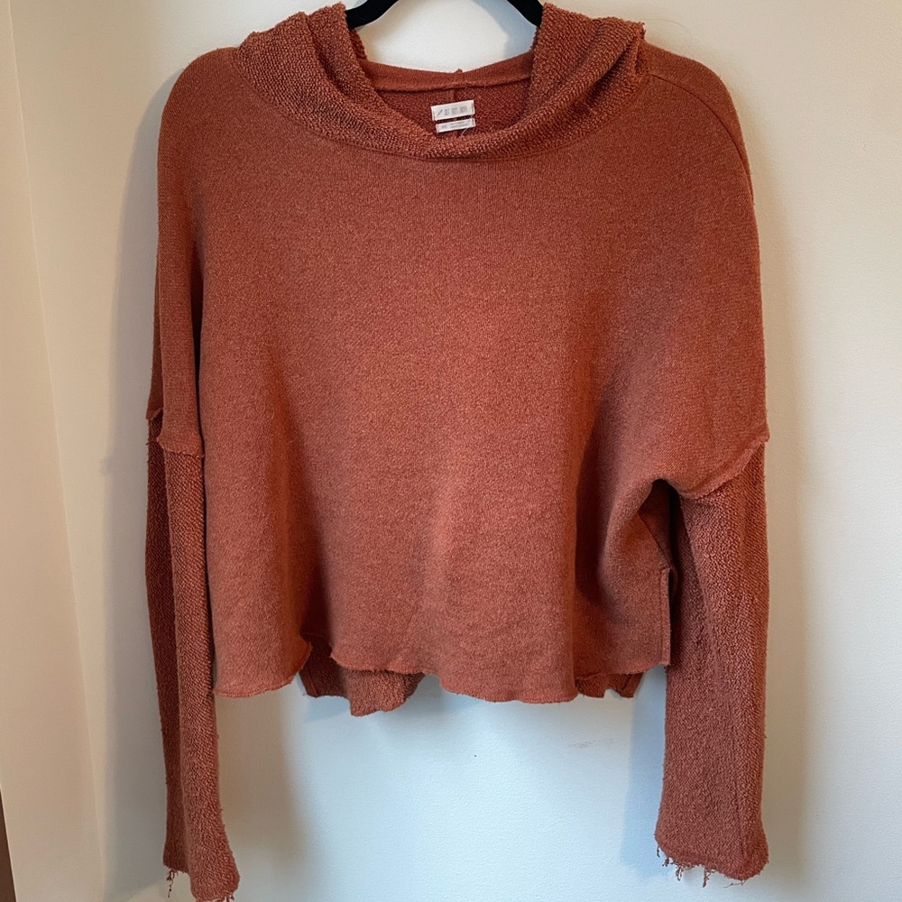 Urban Outfitters Terracotta Cropped Sweatshirt with hood